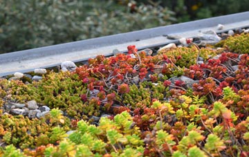 the cost of Batch green roof installation