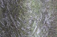 Batch fibreglass roof work